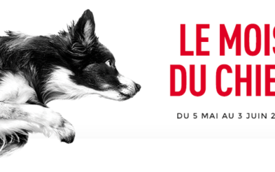 Royal Canin met vos chiens à l’honneur du 5 mai au 3 juin 2018!